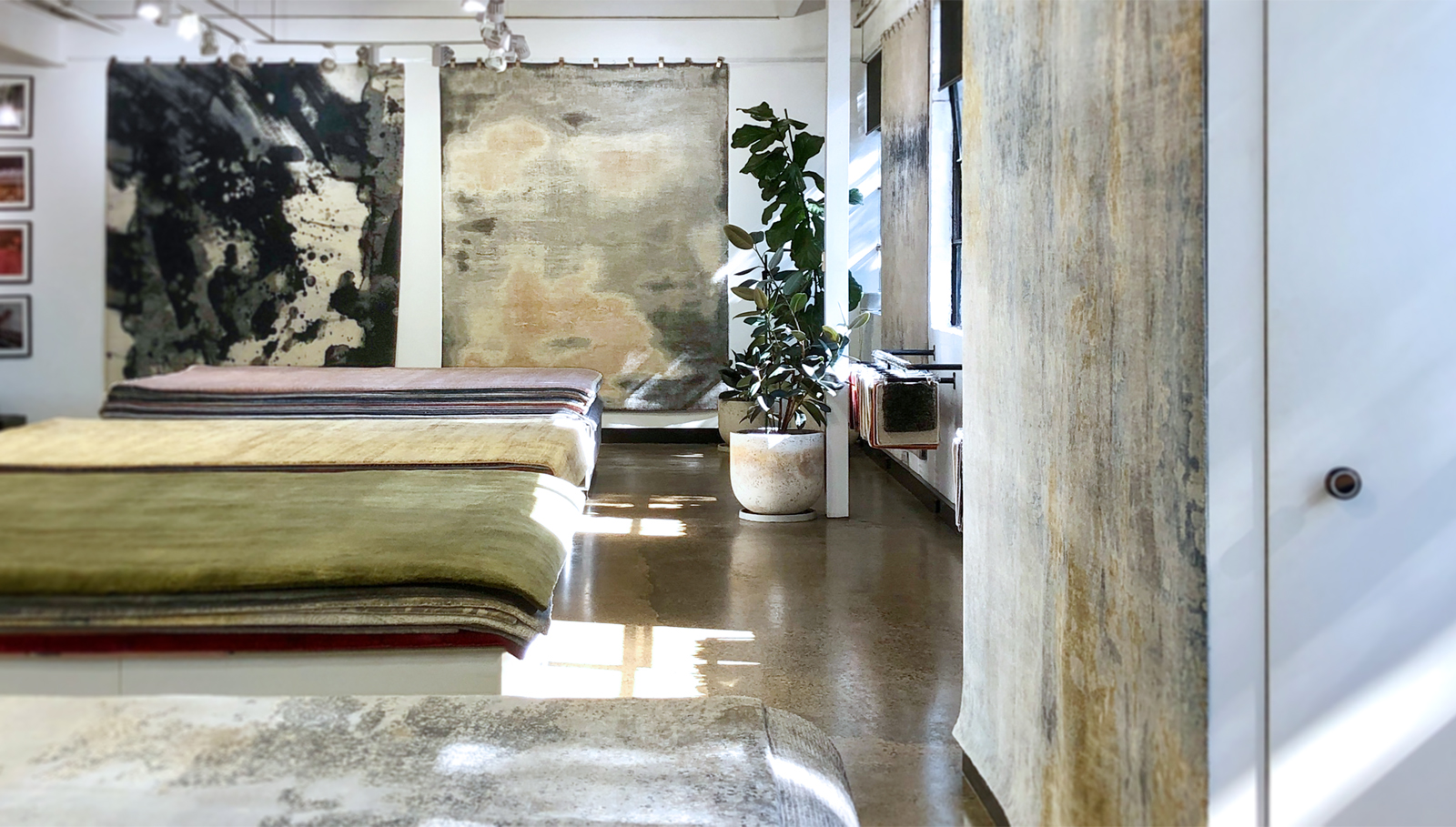 Sydney Showrooms The Rug Establishment